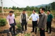 市三医院党委书记徐俊波一行到南江县调研指导定点扶贫工作