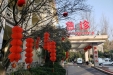 市三医院装饰一新，喜迎新春