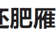 从胃肠肿瘤专家到减重专家