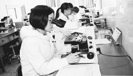 医生中的“福尔摩斯”（聚焦·走近病理医师（上））