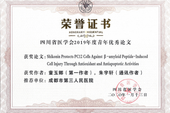 童玉娜优秀论文证书