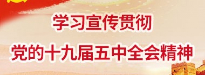 学习宣传贯彻党的十九届五中全会精神