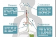 墨池义诊|防患“胃”然，保“胃”健康，10月13日市三医院消化内科专家团院内义诊诚邀参与