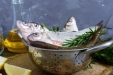 墨池中医丨传承中医药文化 品鉴药食同源——鲫鱼