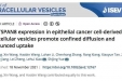 墨池学术丨市三医院乳甲外科合作科研成果获登国际顶级学术期刊