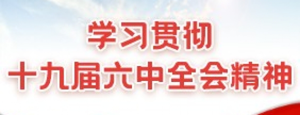 学习贯彻党的十九届六中全会精神