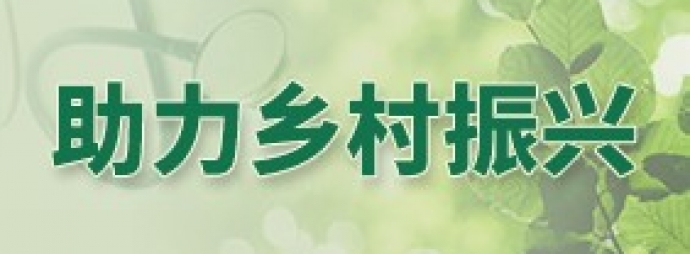助力乡村振兴