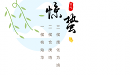 墨池中医丨惊蛰时节 养生可从四点入手