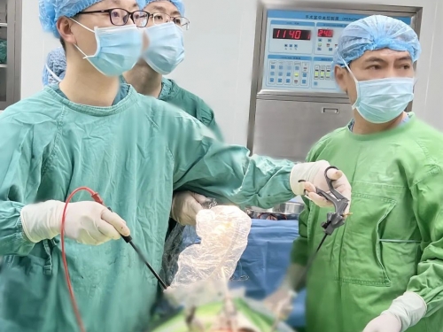 首例腹腔镜下巨大肾囊性占位切除，成功！市三医院·攀钢成都医院组队让患者家门口享“三甲”同质化服务