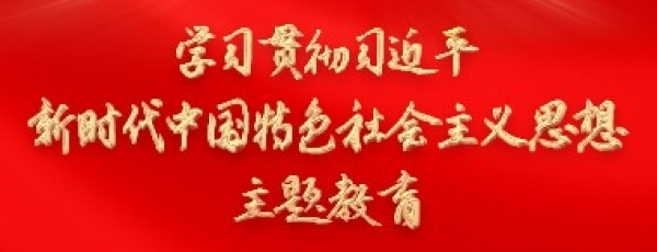 学习贯彻习近平新时代中国特色社会主义思想主题教育