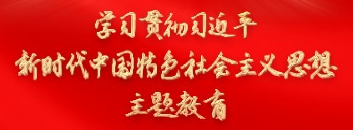 学习贯彻习近平新时代中国特色社会主义思想主题教育