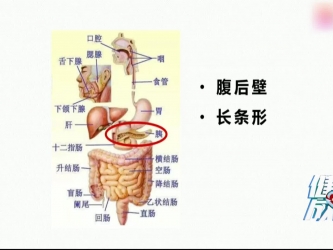胰腺炎防治科普短片
