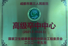高级卒中中心