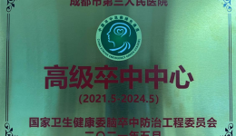 高级卒中中心